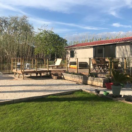 Villa Tiny House sur la Côte d’Azur à Hyères Extérieur photo